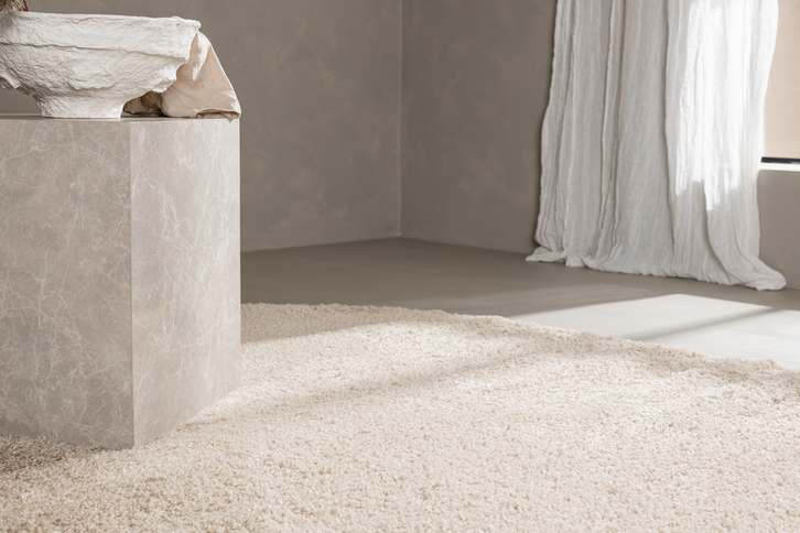 Venture Home Walter Oval Vardagsrumsmatta 240 x 340 cm