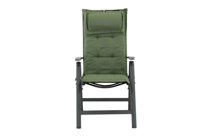 Venture Home Olive Positionsdynor 46 x 116 6-Pack