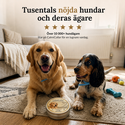 CalmiCollar – Din hjälp mot stress och oro hos din hund