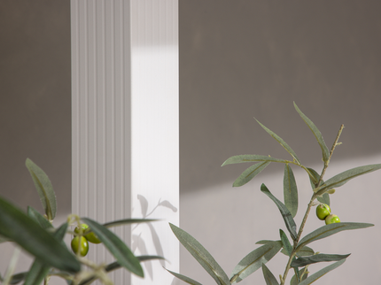 Venture Home Lazio Pergola 295 x 295 x 248 Vit