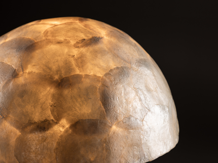 Vind Lindön Bordslampa Ljusgrå