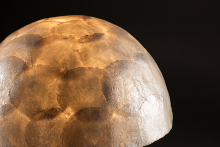 Vind Lindön Bordslampa Ljusgrå
