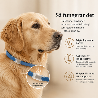 CalmiCollar – Din hjälp mot stress och oro hos din hund