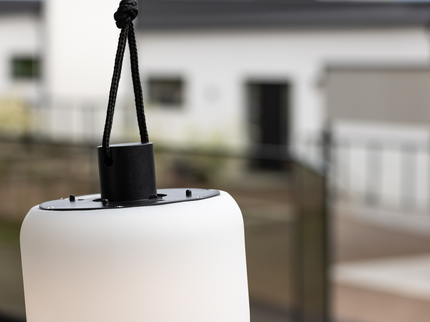 Venture Home Colie Taklampa Utomhus